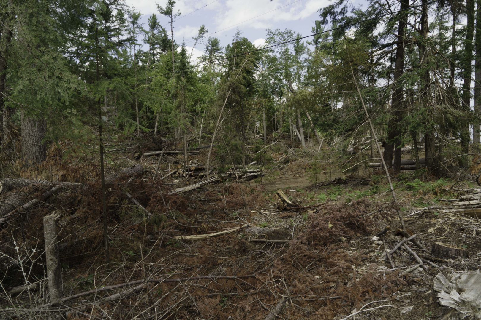 Cottage property damage in Jack Lake.