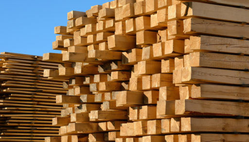 Piles of cut wood