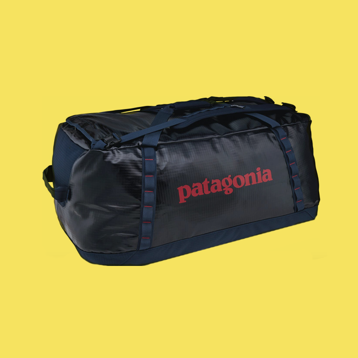 Patagonia Black Hole Duffle