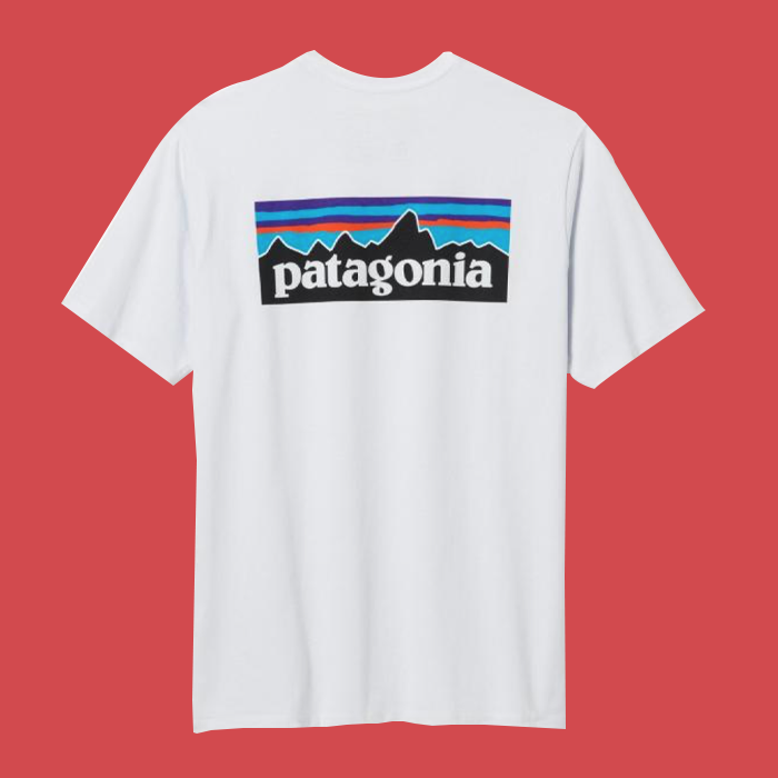 Patagonia Logo Responsibili T-shirt for men