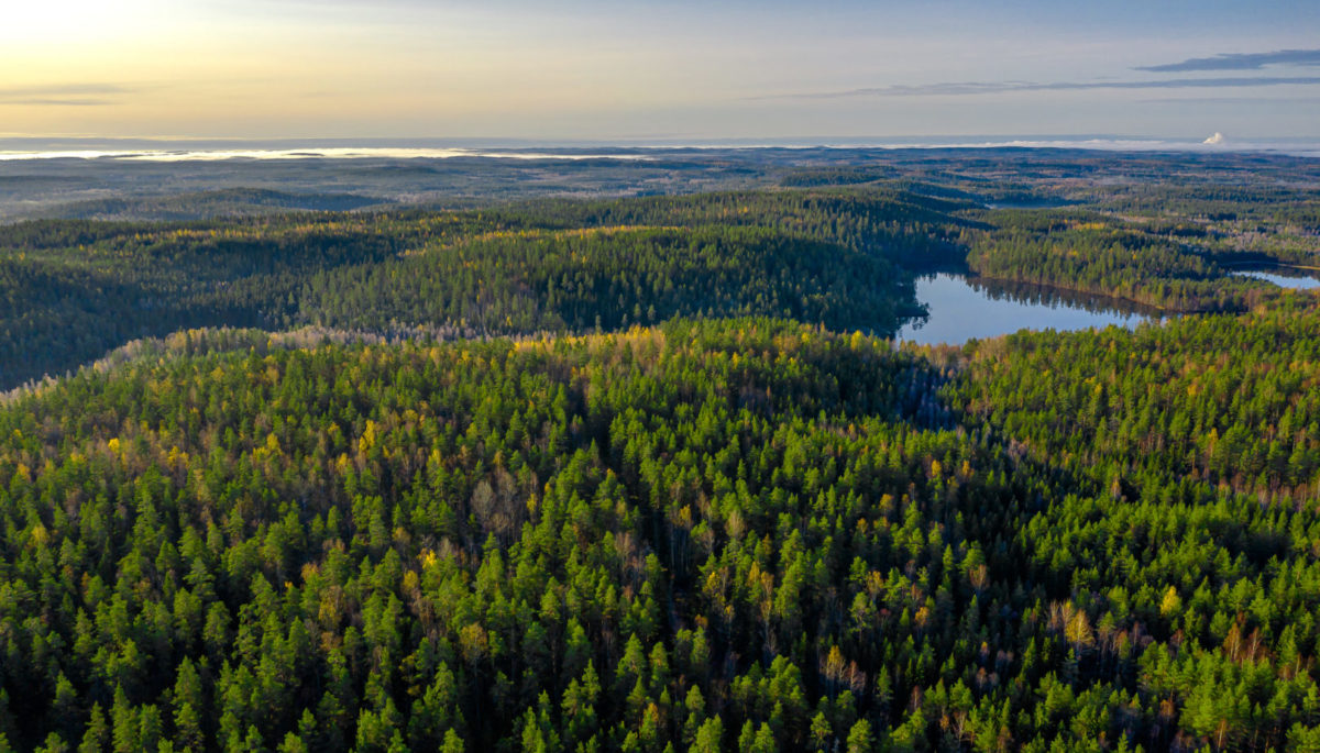 Aerial view of crown land