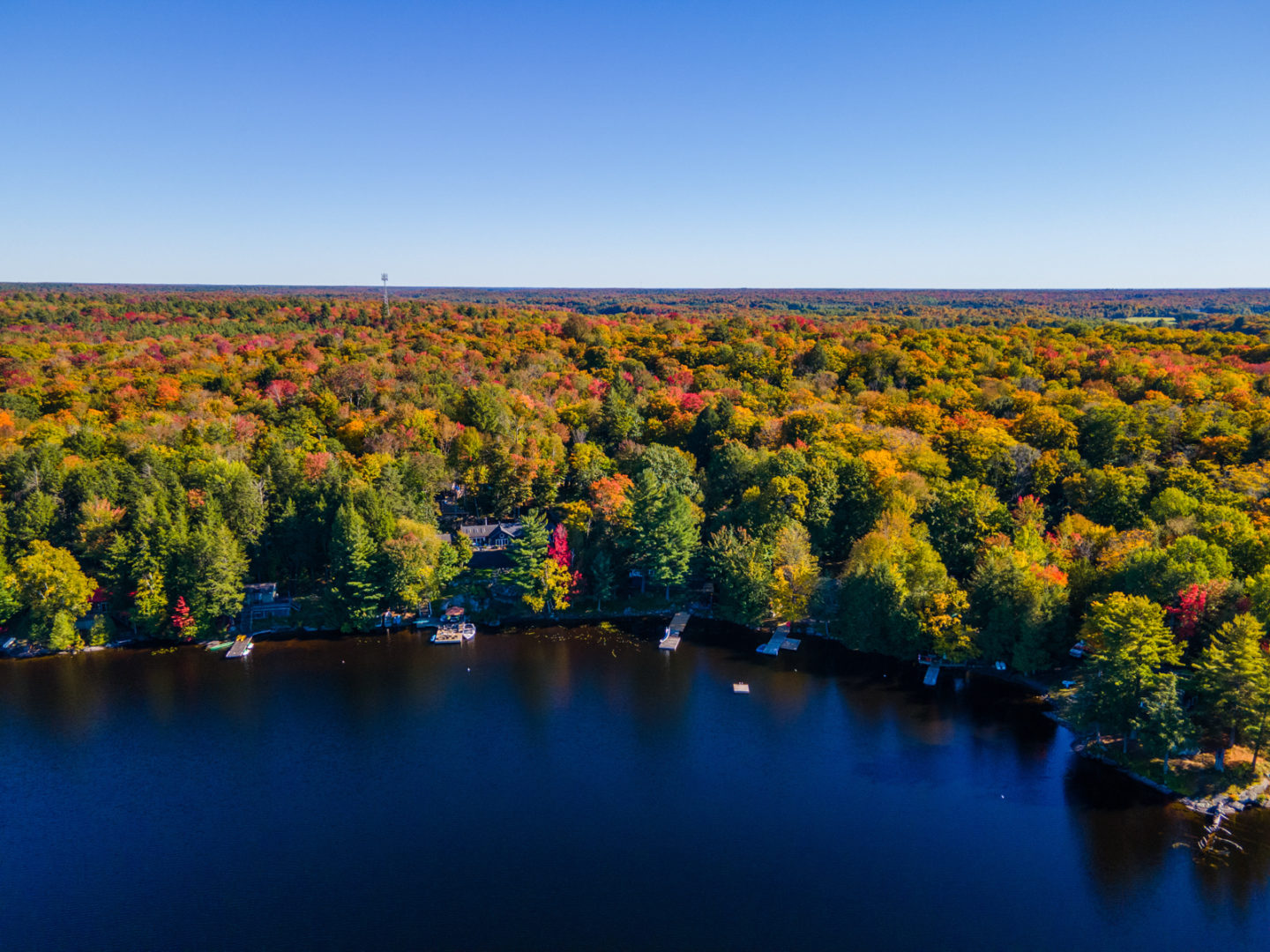 A curve of lake area with a sea of green and orange trees along the shoreline.