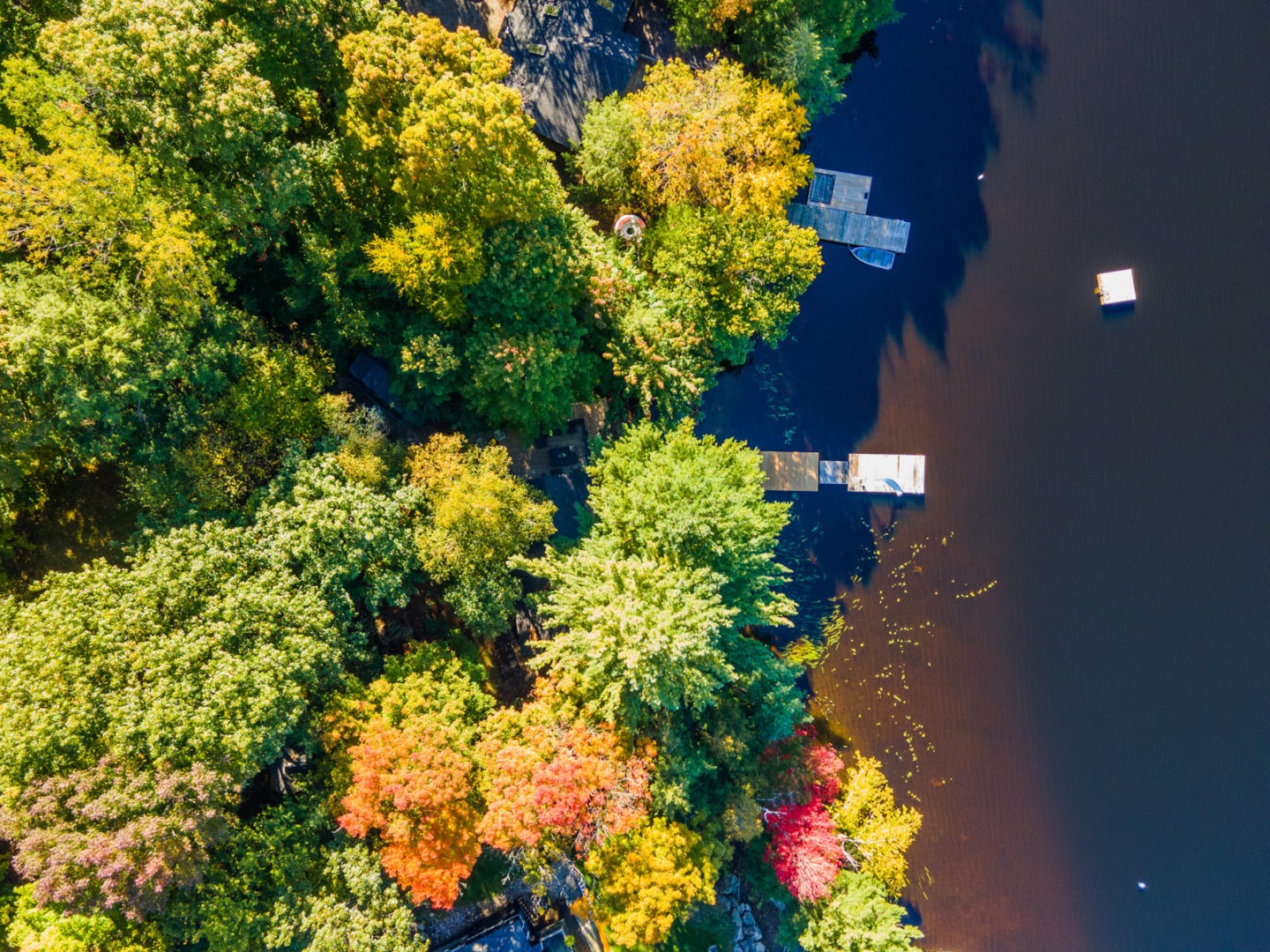 Overhead shot of a lakefront cottage with a long dock going into the water.
