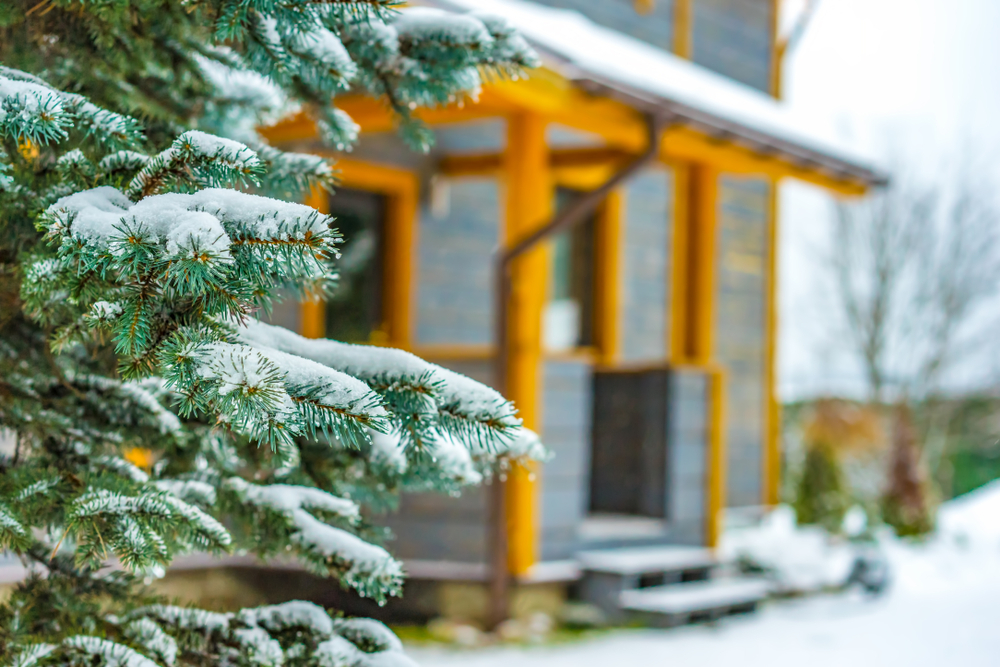 A snow-covered cabin with a pine tree in the foreground