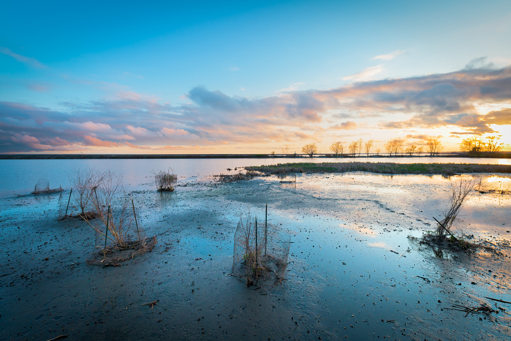 Sunset over a flooded shoreline on Lake Erie