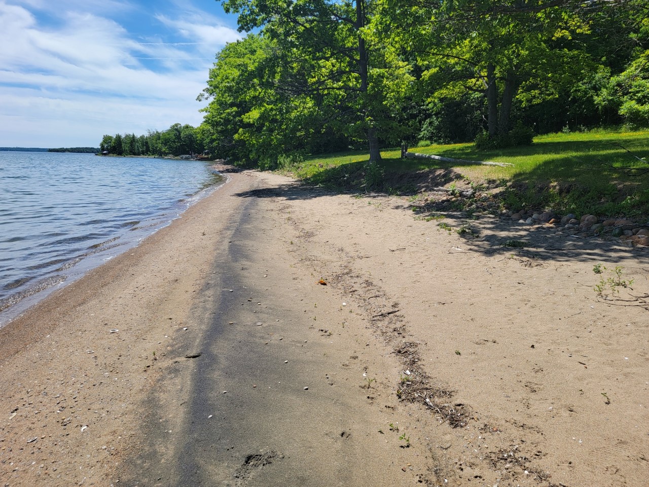 A stretch of sandy shore along a lakefront area.