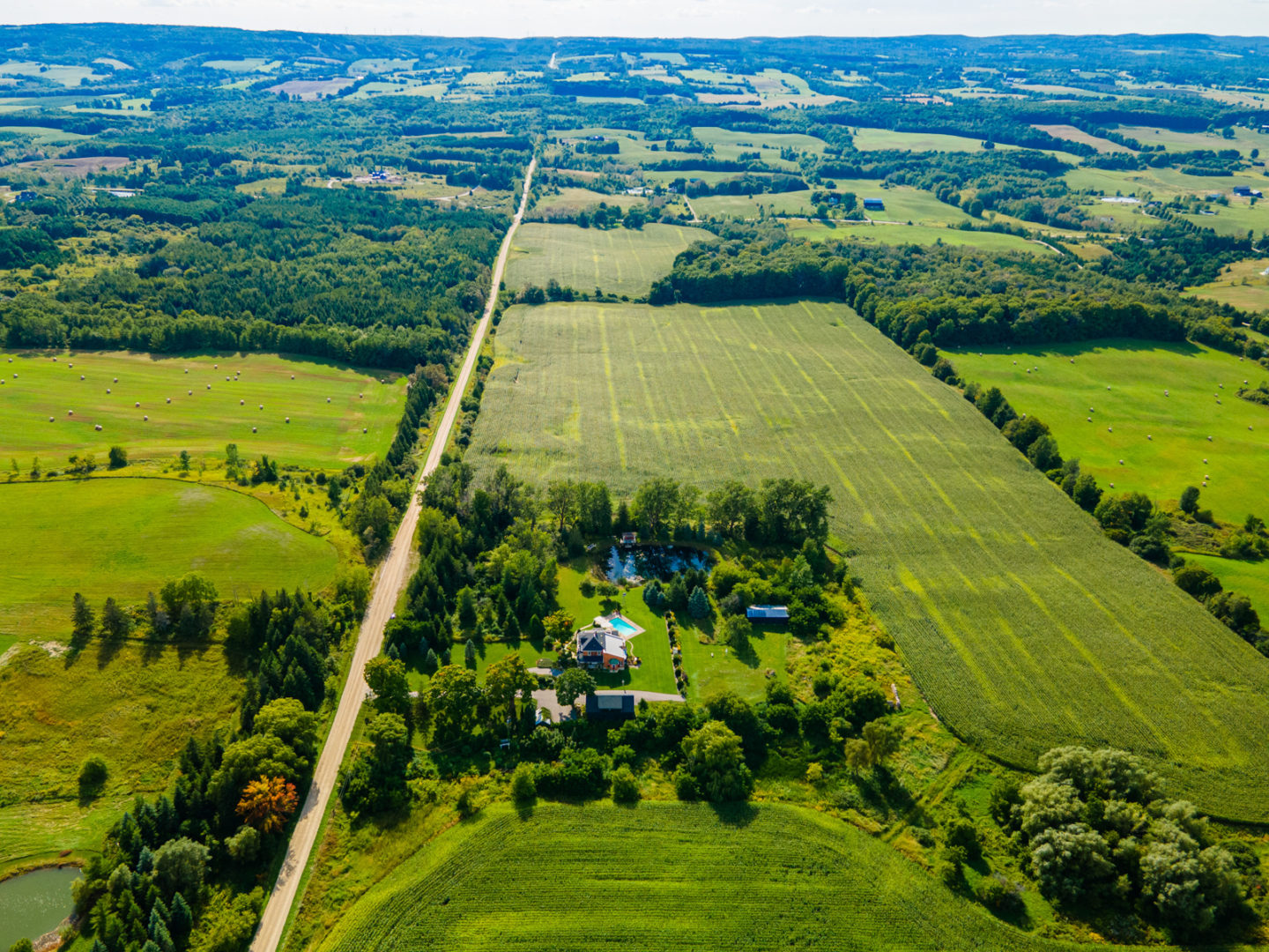 A long dirt road extends through an area of grassy fields and trees. A house sits in the middle of a property off the road, surrounded by trees.
