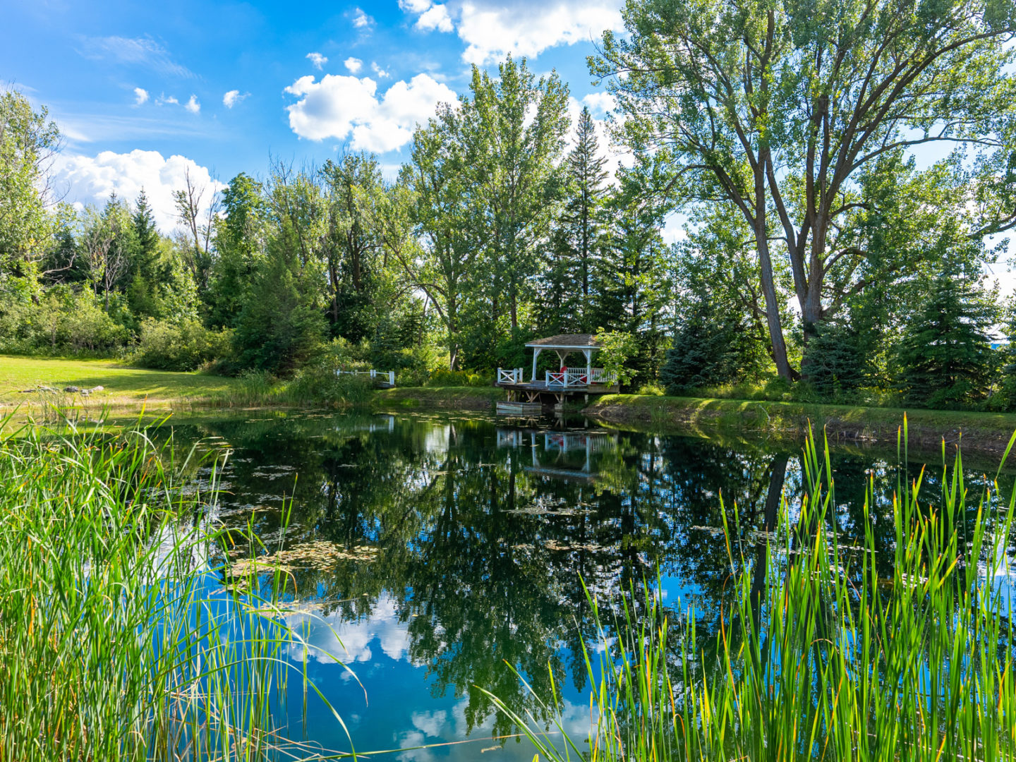 A pond with still water, reflecting green trees in its surface.