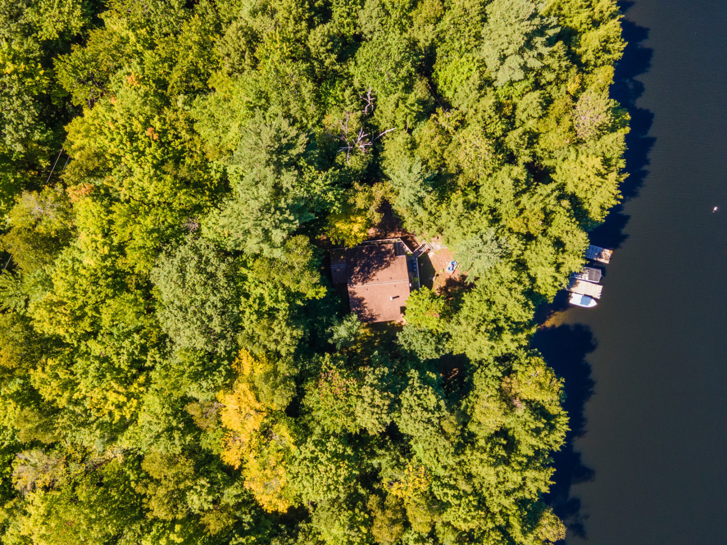 Aerial view of a cottage property. The roof can be seen through dense green trees, and a dock extends into the lake at the waterfront.