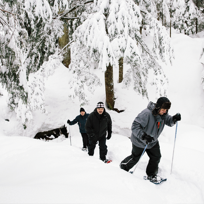 Several men snowshoeing against a wintery background