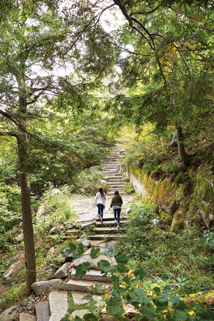 two women walked down a path in the forest