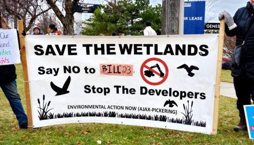save the wetlands sign at protest in Pickering