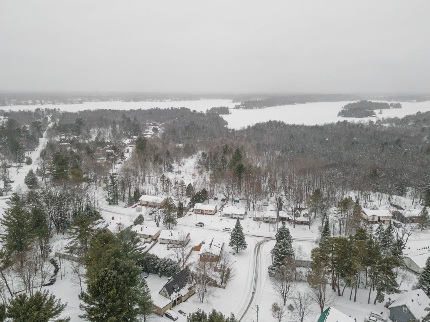 A small neighborhood surrounded by snow and trees, close to a lake.