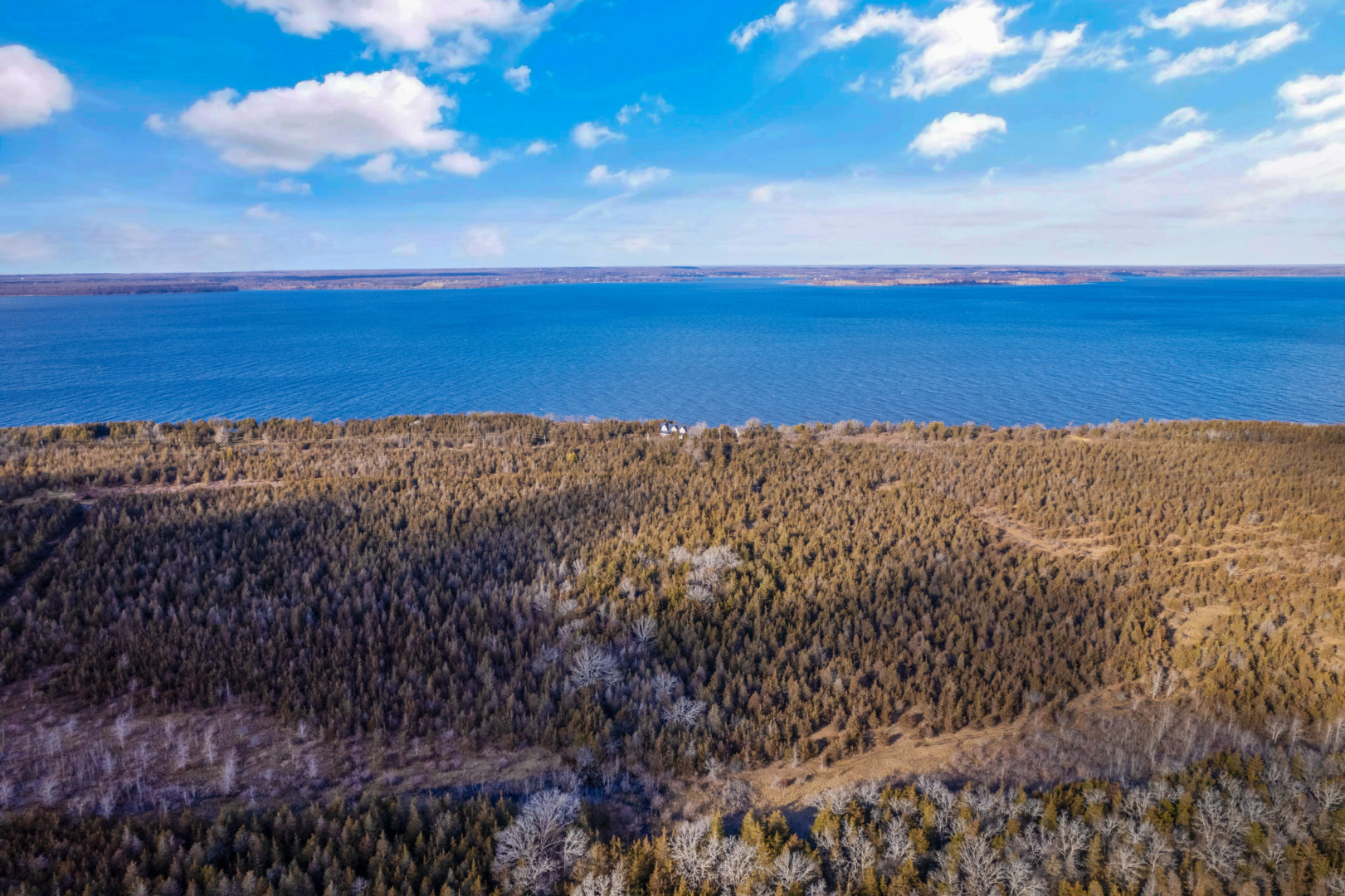 An overhead view of a large expanse of forest in front of a lake. One lone house can be seen on the distant shoreline.
