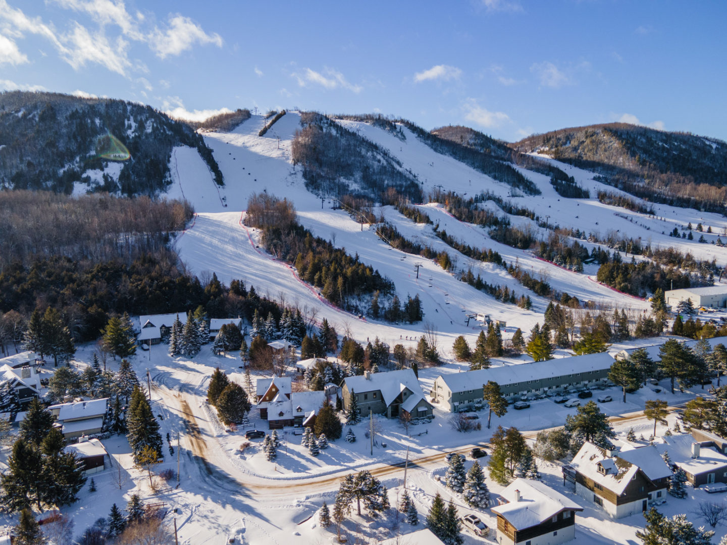 A sloping mountain covered in snowy trees, with paths for ski slopes going down. At the base of the mountain is a small residential neighbourhood.