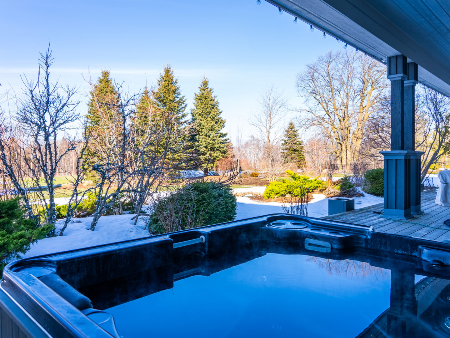 A large hot tub looking over a green backyard with lots of trees.