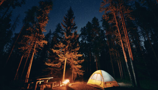 nighttime photo of campsite