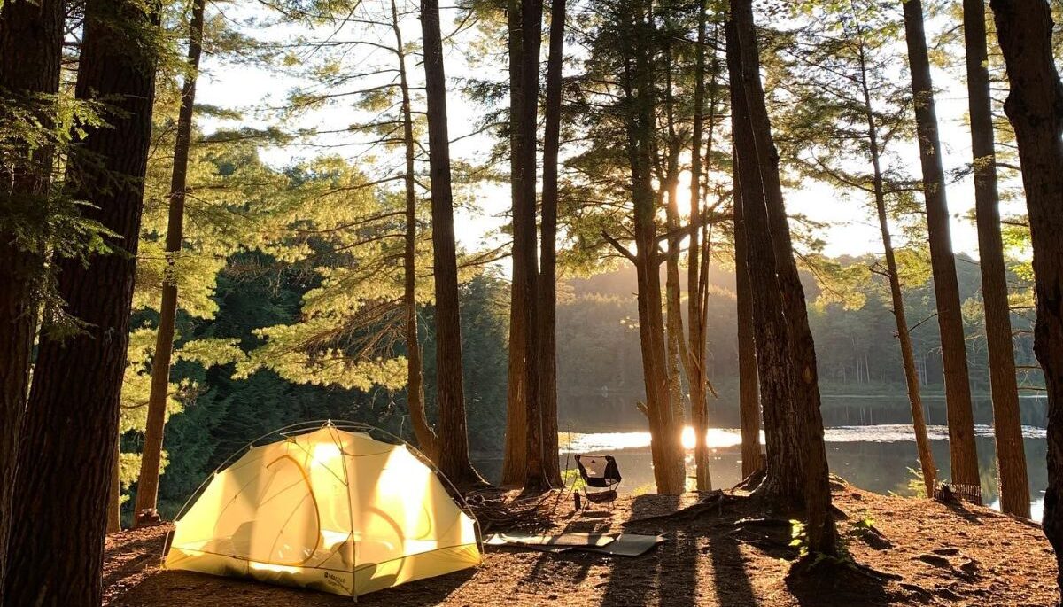 tent in the middle of a forest on a lake