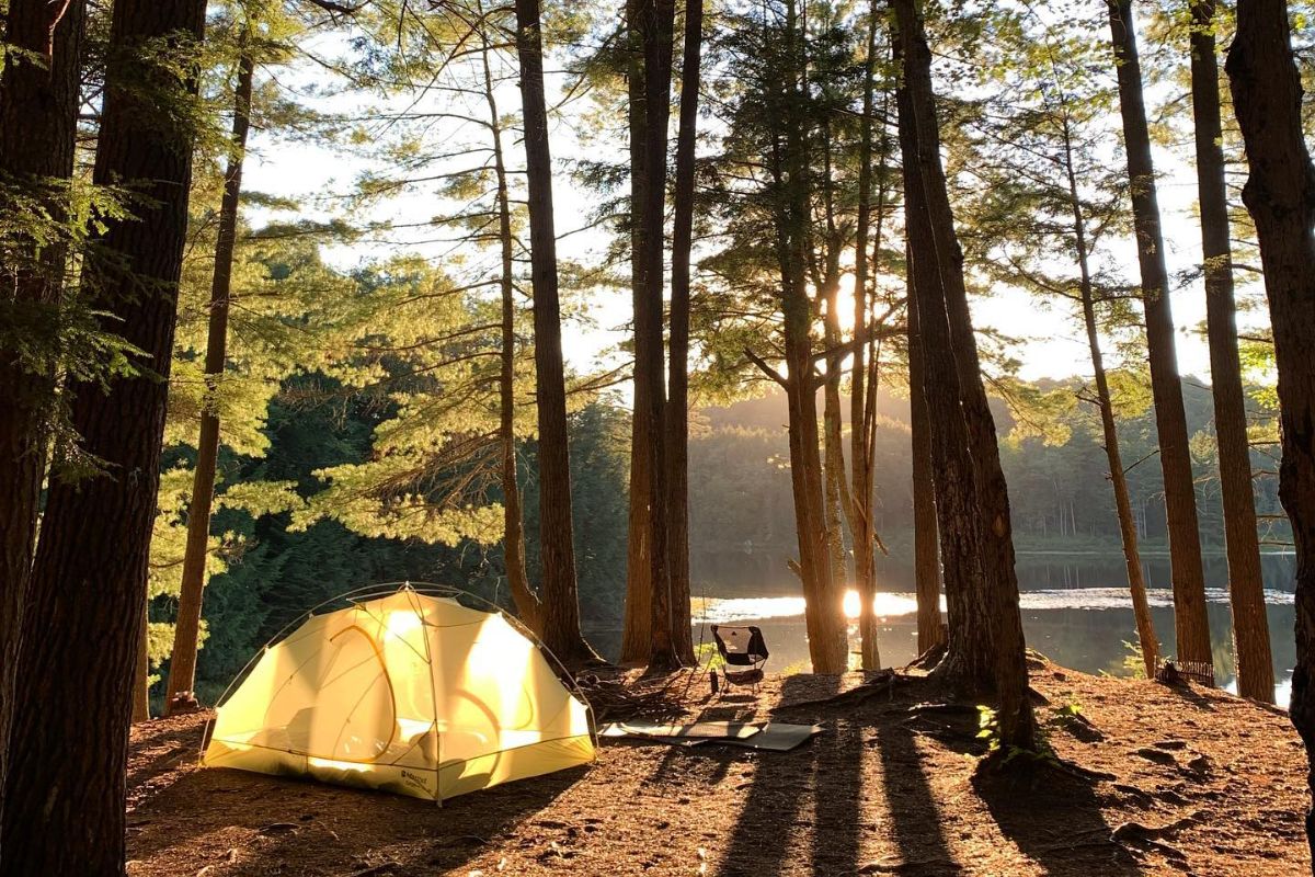 tent in the middle of a forest on a lake