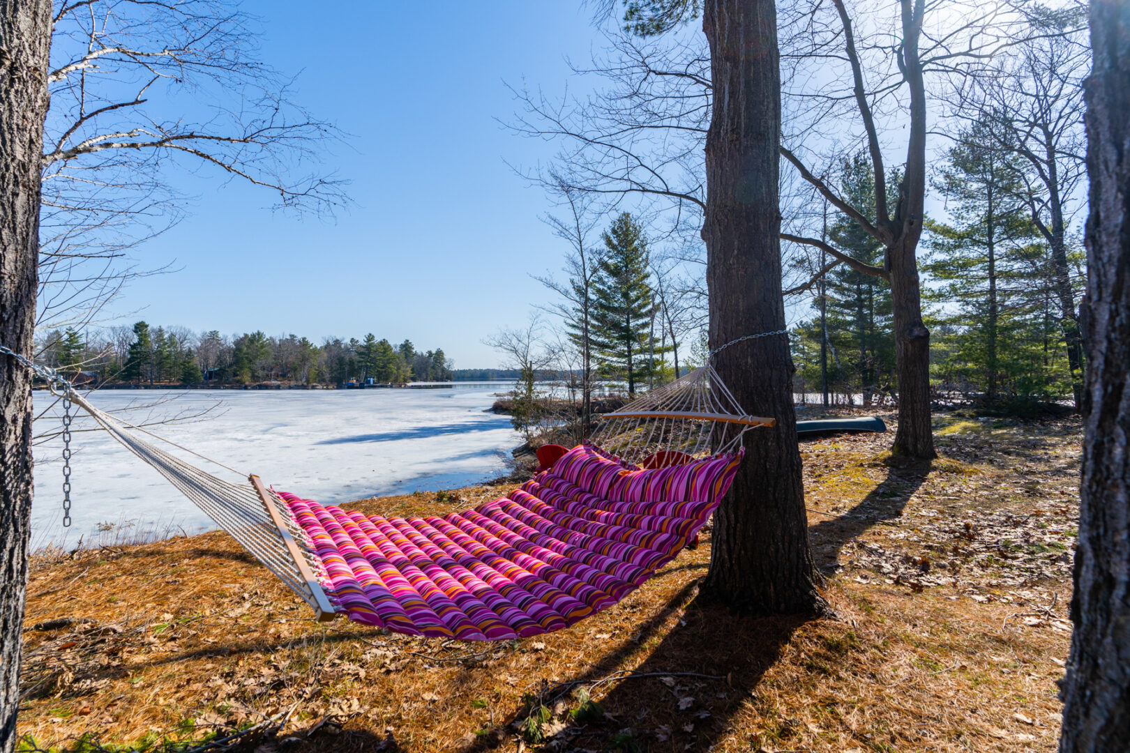 A pink hammock suspended between two trees on the shoreline of a lake.