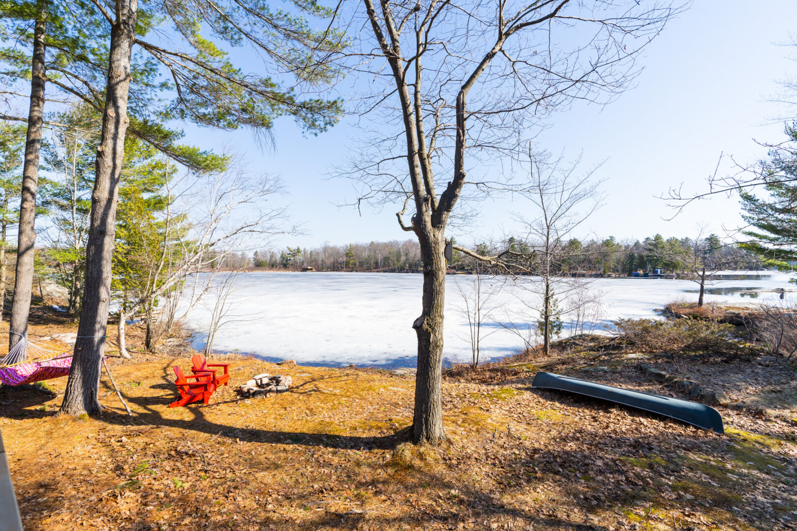 A stretch of shoreline with open area and some trees, Muskoka chairs, and an upside-down canoe on the ground.
