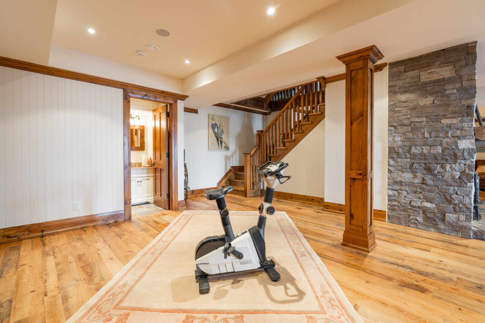 A large space on the lower level of a home, with exercise equipment and a bathroom.