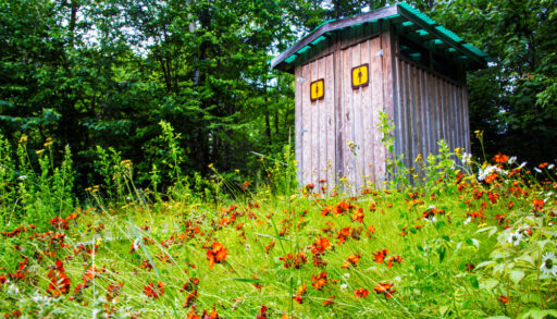 Outdoor bathroom in the woods