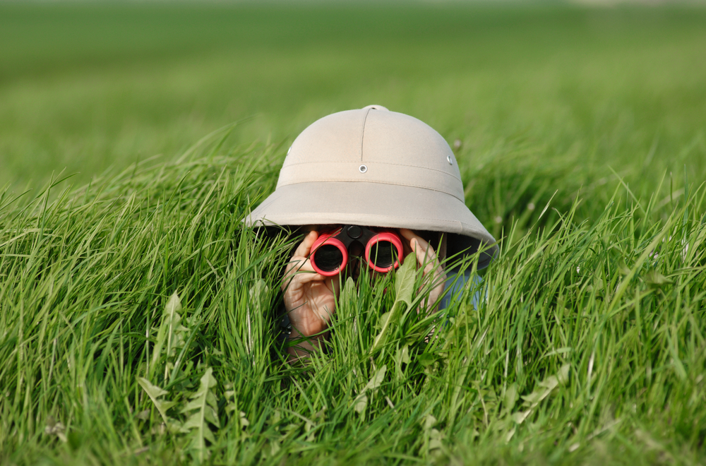 Boy looking through tall grass with binoculars