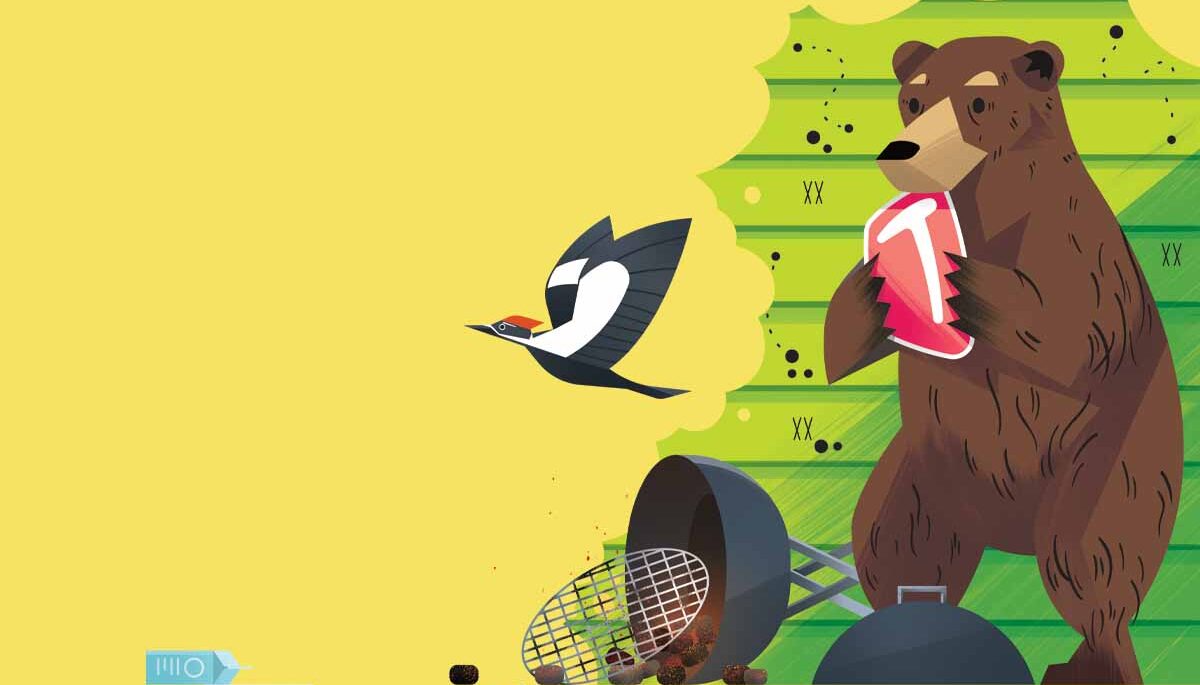 illustration of bear and heron