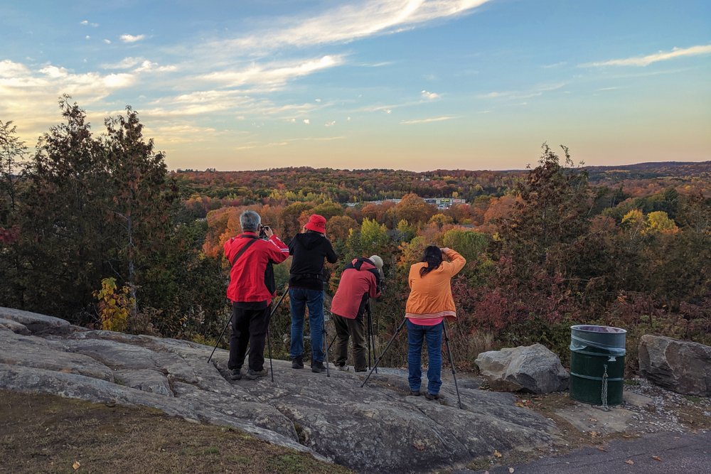 people look out at trees at Lions Lookout in Huntsville