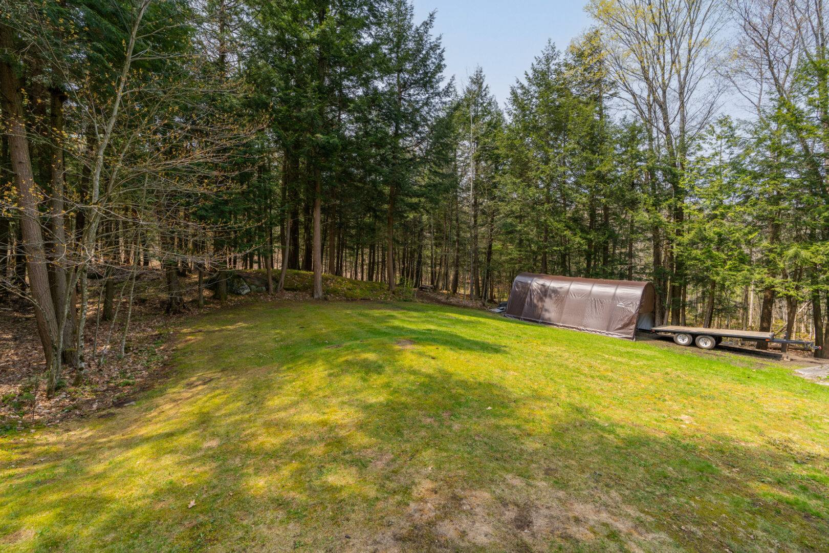 A large grass yard on a cottage property, with thick trees lining the area.