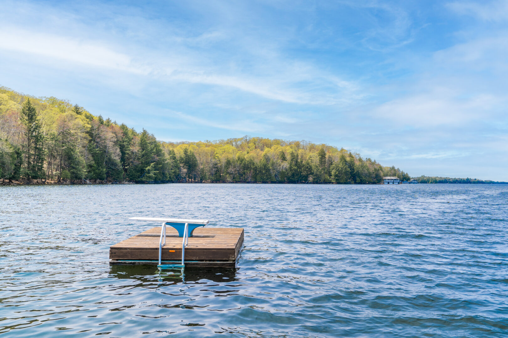A small square of dock in the lake, with a ladder and a diving board.