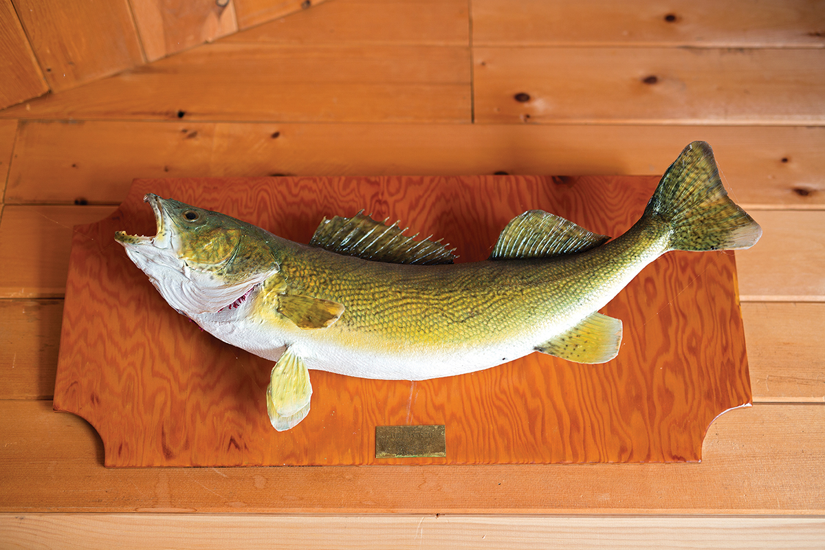 Wall fish from inside the Teetaert's cabin on Lake Metigoshe.
