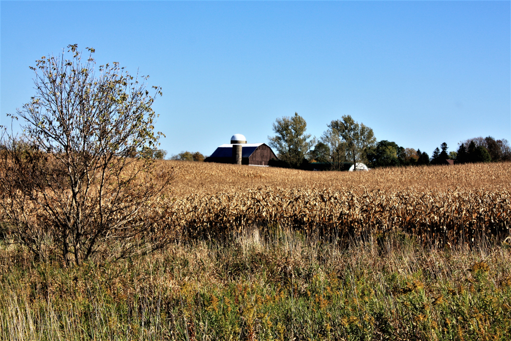 rural land in Uxbridge