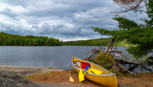Algonquin Park