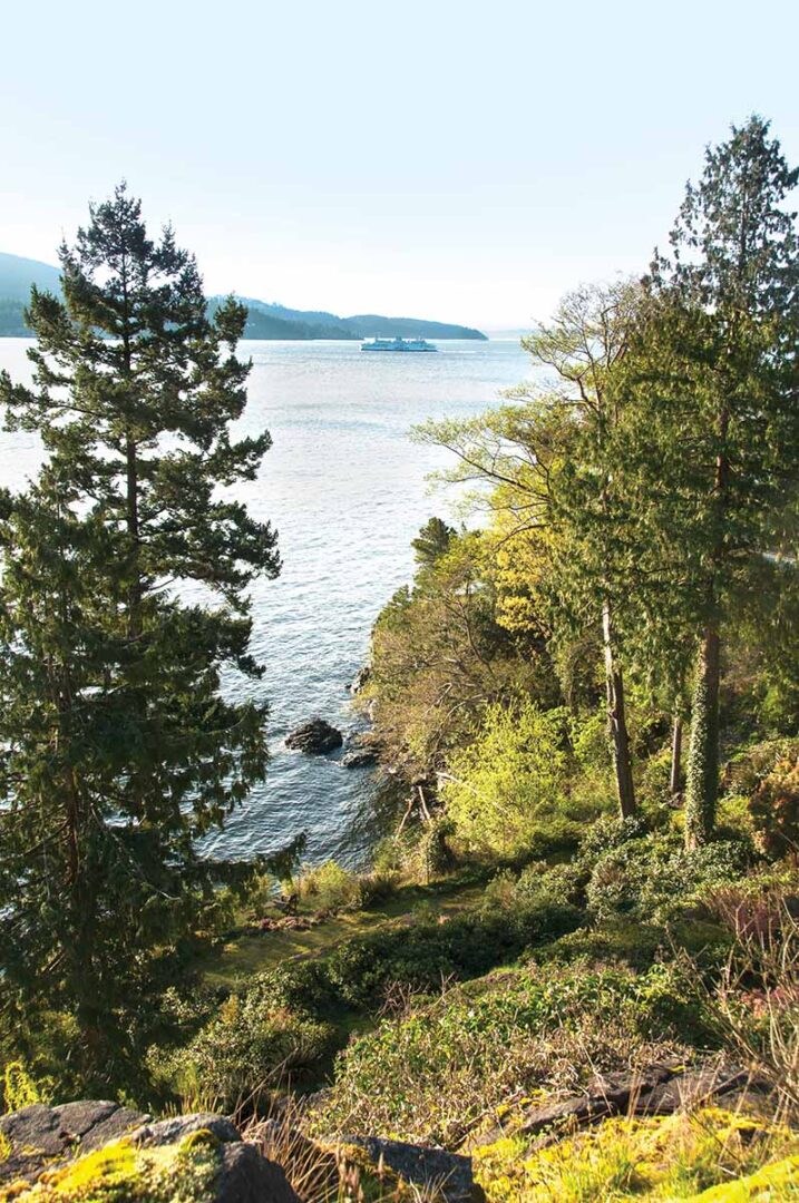 View from Deggan cottage overlooking the water through the trees
