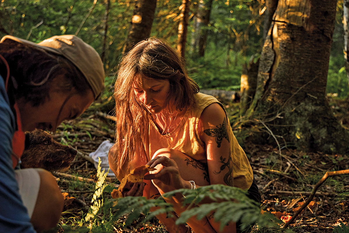 The couple forage for mushrooms