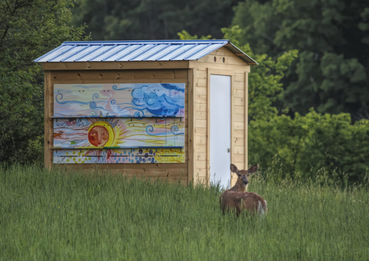 Deluxe EZHouse at Leystone Farms, mural of sun and clouds painted on left wall by Iris Kiwiet, deer in front of hive turning towards camera
