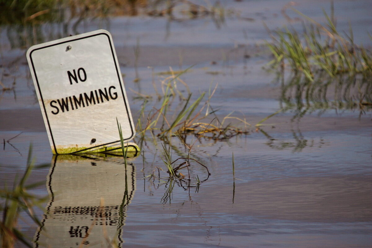 Sign that reads "No Swimming" singing into the water