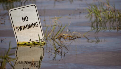 Sign that reads "No Swimming" singing into the water