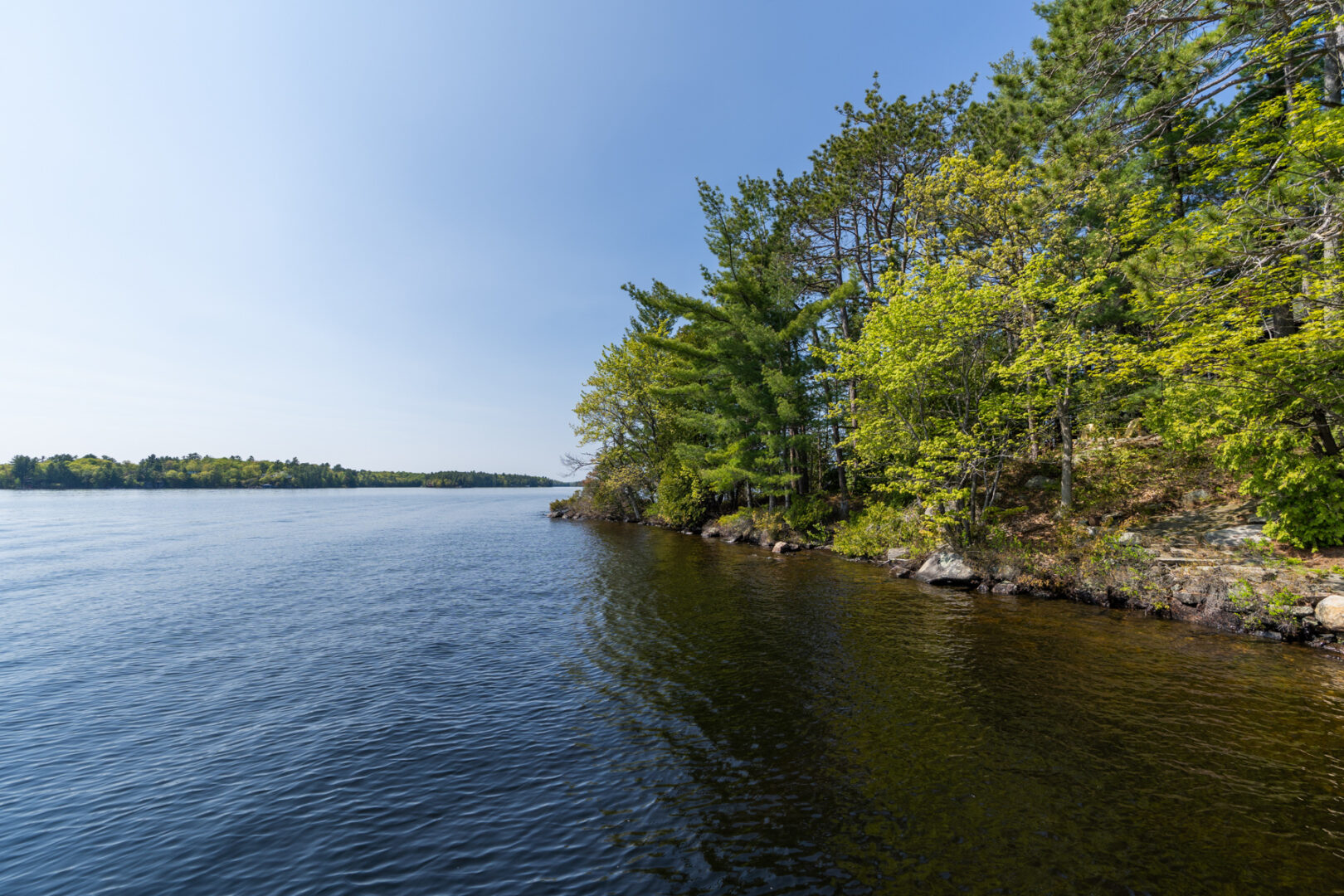 A shoreline along blue lake, with green trees lining the land.