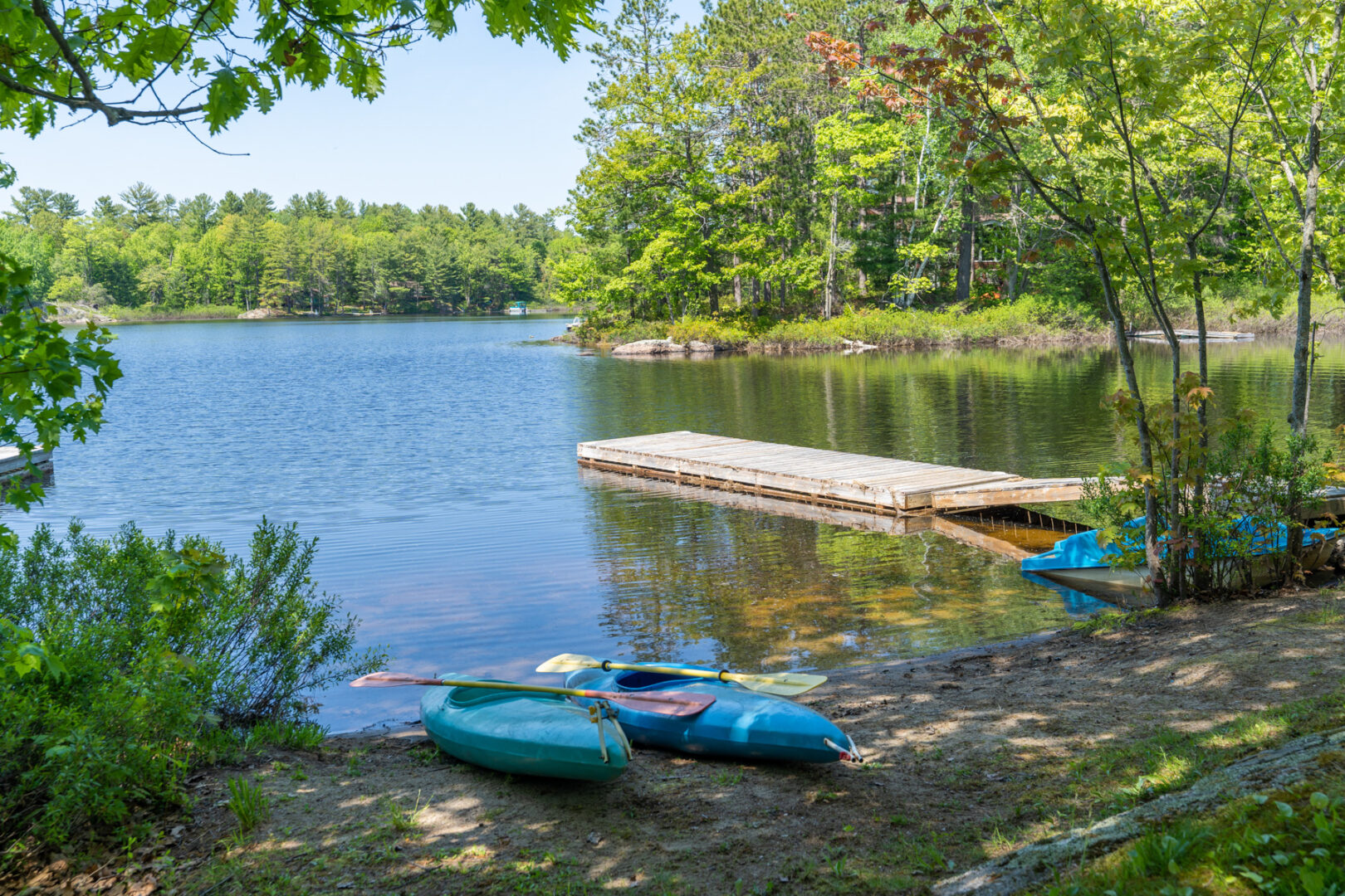 A small, shady lakeside beach area with two blue kayaks on the shore.A long dock stretches into the peaceful lake.