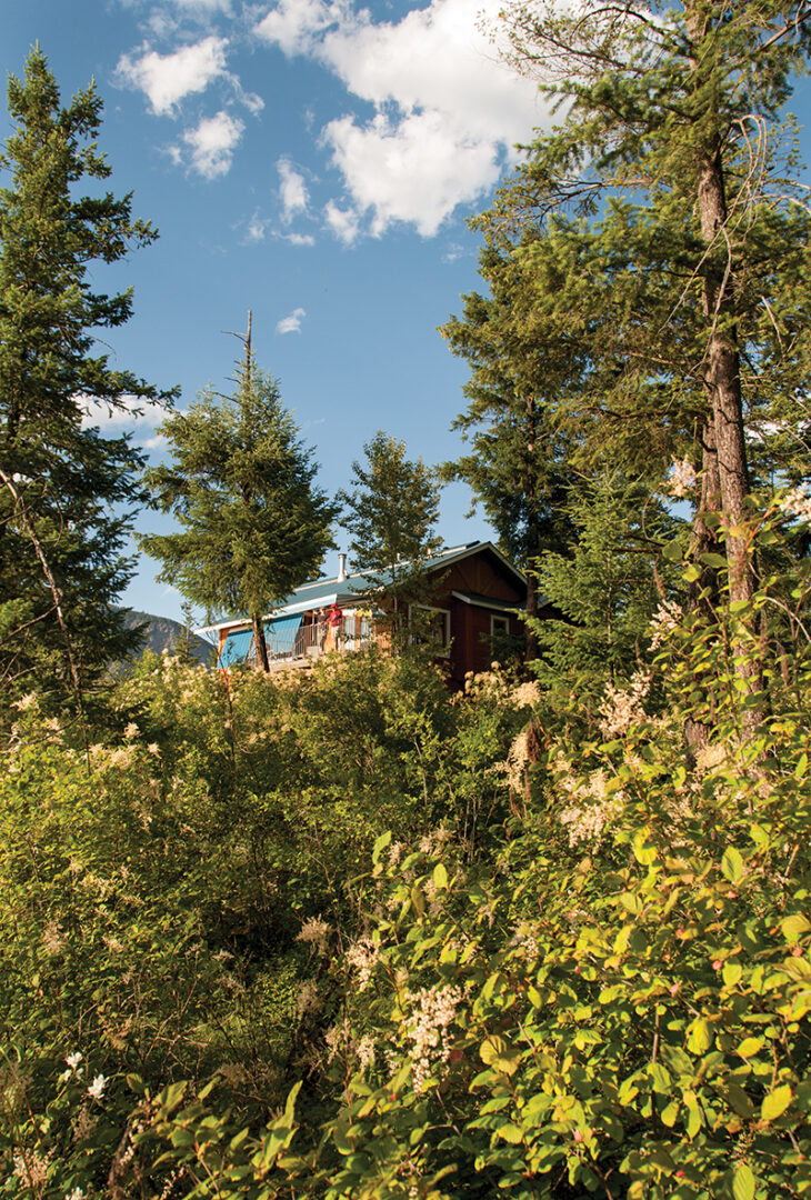 The cottage from below through the trees