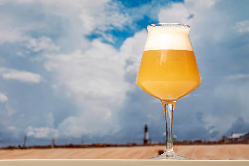 A close-up of a glass of pale ale