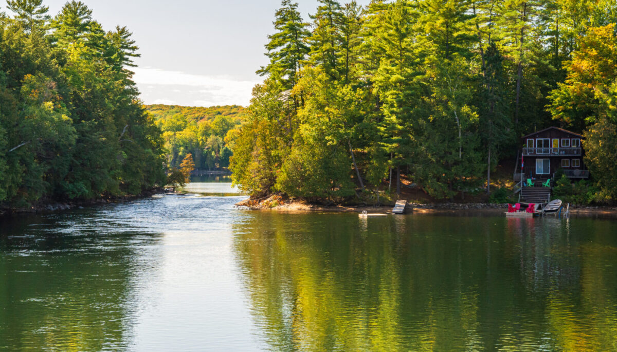 Muskoka cottage country, lake in the foreground continuing past trees on the left and right