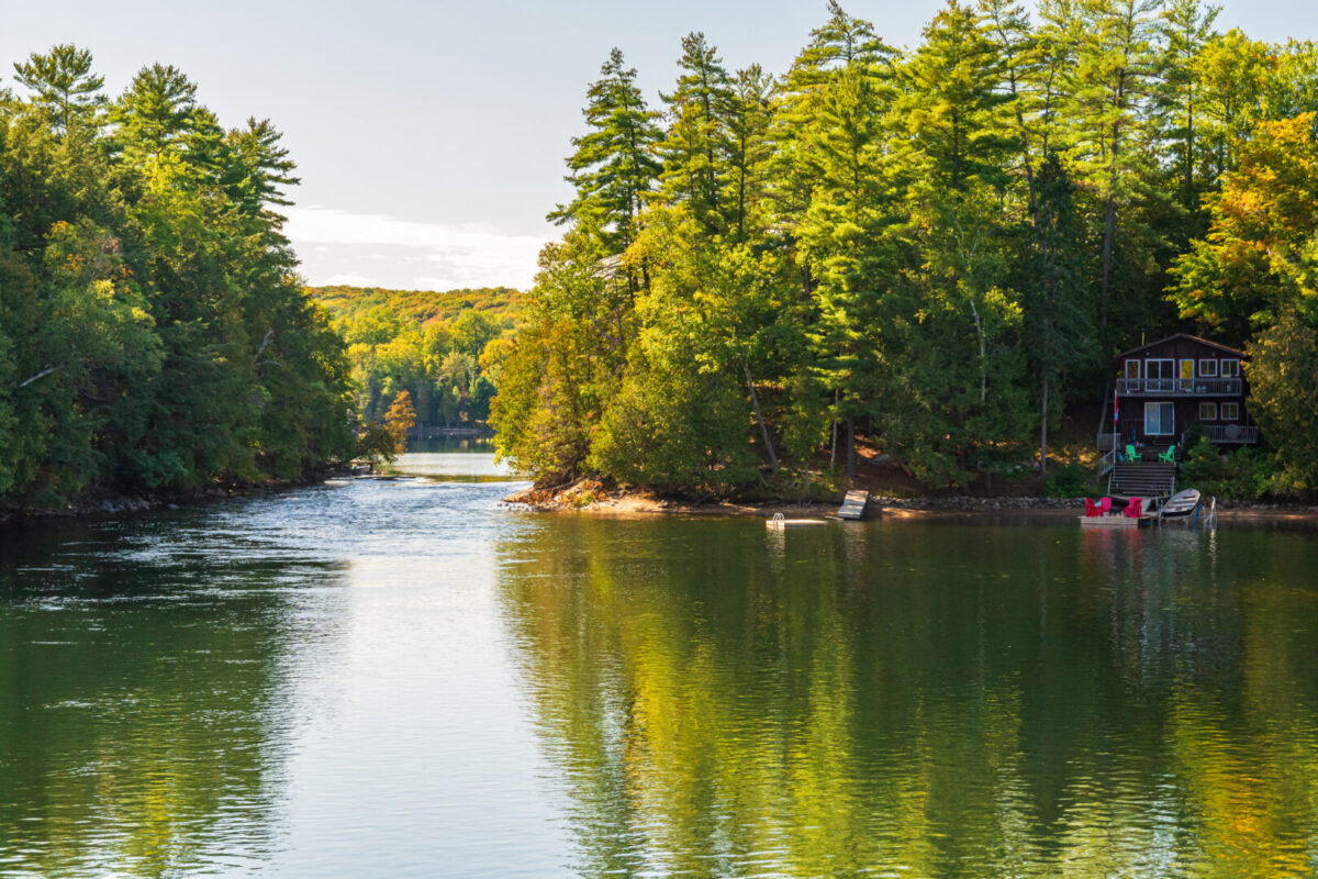 Muskoka cottage country, lake in the foreground continuing past trees on the left and right