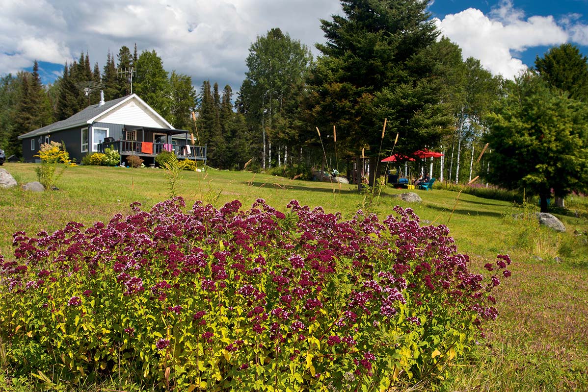 Exterior of the family cottage