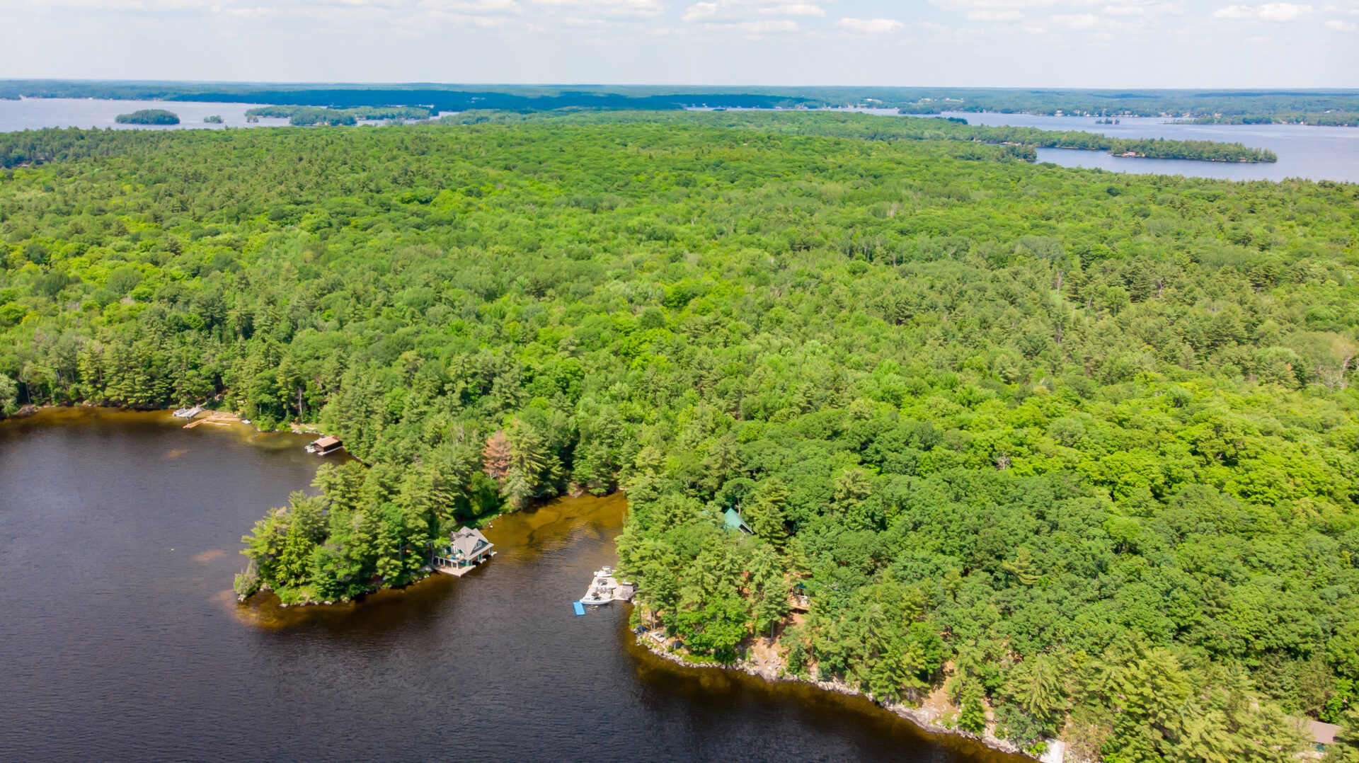The shoreline of a lake, with dense green trees and cottages lining the shore.