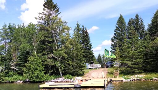 A big dock extends into a lake from a tree-lined shore.