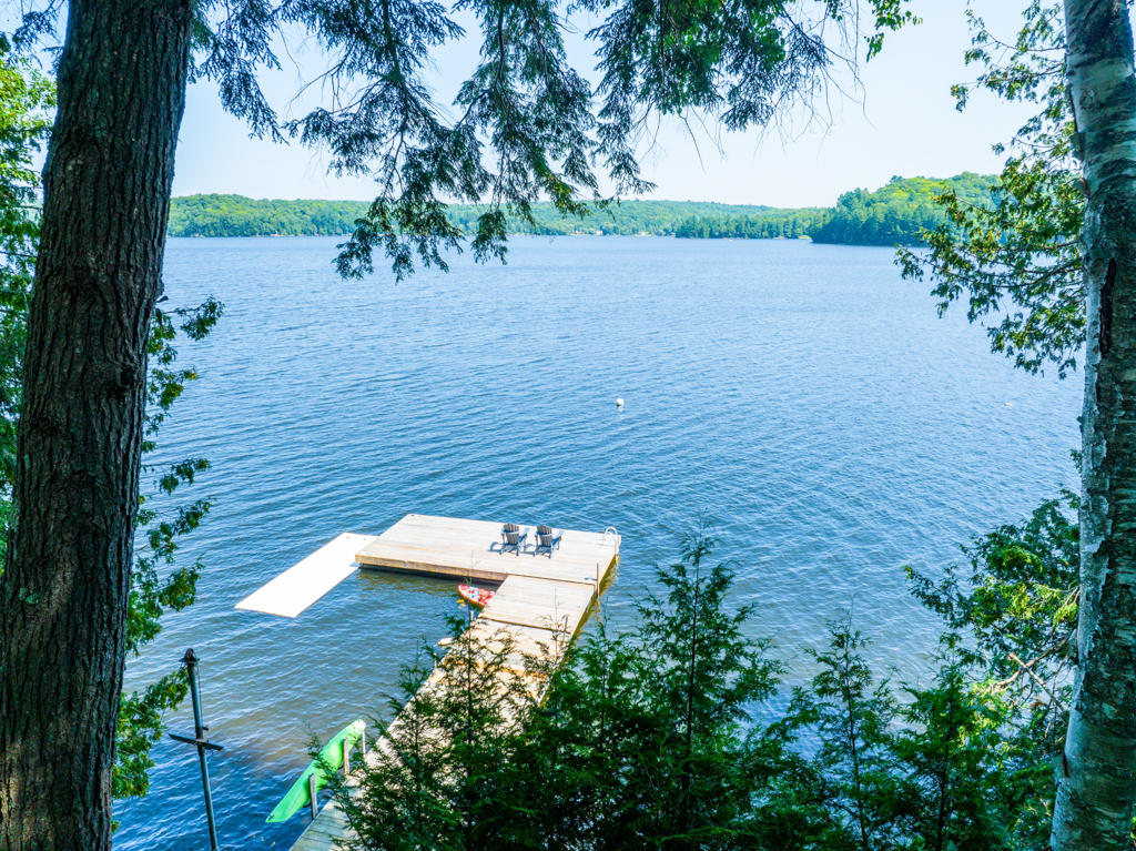 View down through trees to a dock extending into a lake off the shore.